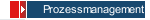 Prozessmanagement