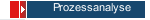 Prozessanalyse