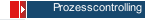 Prozesscontrolling
